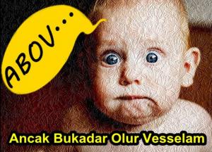 Bele��iler Sizi�