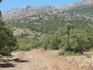 KARAMAN�A DA AC�L LAZIM!