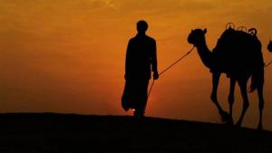 Geçmişten Geleceğe